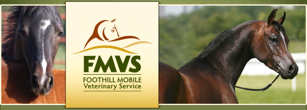 Foothill Mobile Veterinary Service
